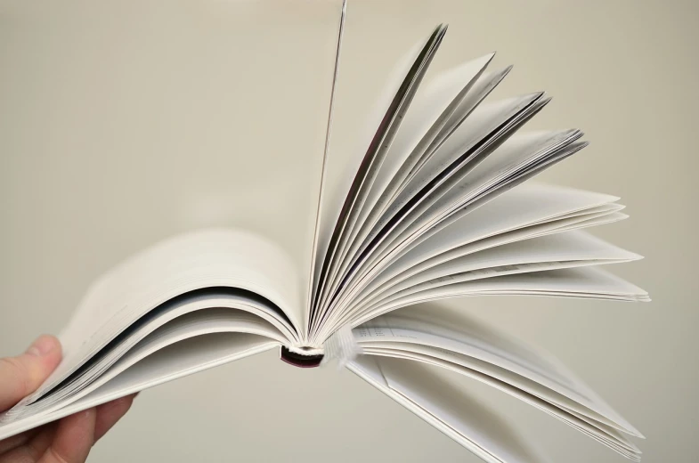 a person holding an open book in their hand, a stock photo, by Julian Allen, figuration libre, white paper background, high details photo, close - up studio photo, reading engineering book