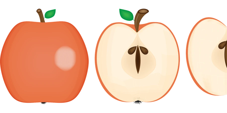 a group of apples cut in half on a black background, by Ayako Rokkaku, trending on pixabay, digital art, simple cartoon style, front back view and side view, orange red black white, top and side view