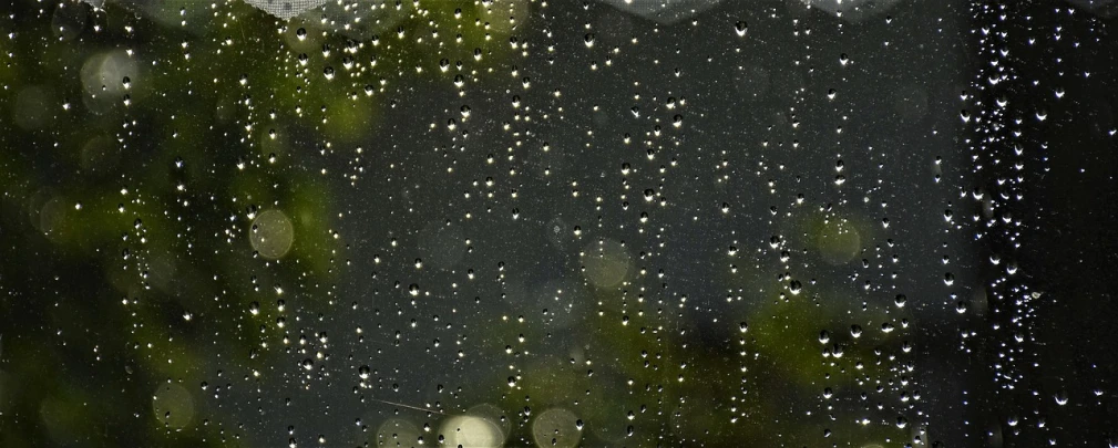 a couple of birds sitting on top of a window sill, a picture, by Jan Rustem, lots of raindrops, mobile wallpaper, window ( rain ), weeping tears of black oil