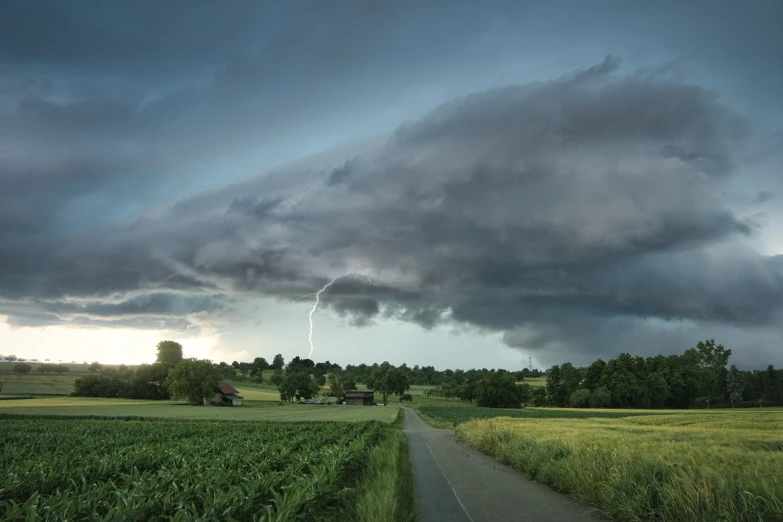 a stormy sky over a corn field with a lightning bolt in the distance, a picture, by Thomas Häfner, christophe szpajdel, looking left, niels otto møller, bottom angle