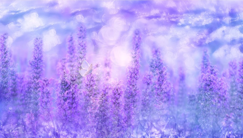 a butterfly sitting on top of a purple flower field, a digital painting, inspired by Kaii Higashiyama, digital art, soft beautiful light, salvia, blurred and dreamy illustration, cold lights soft painting