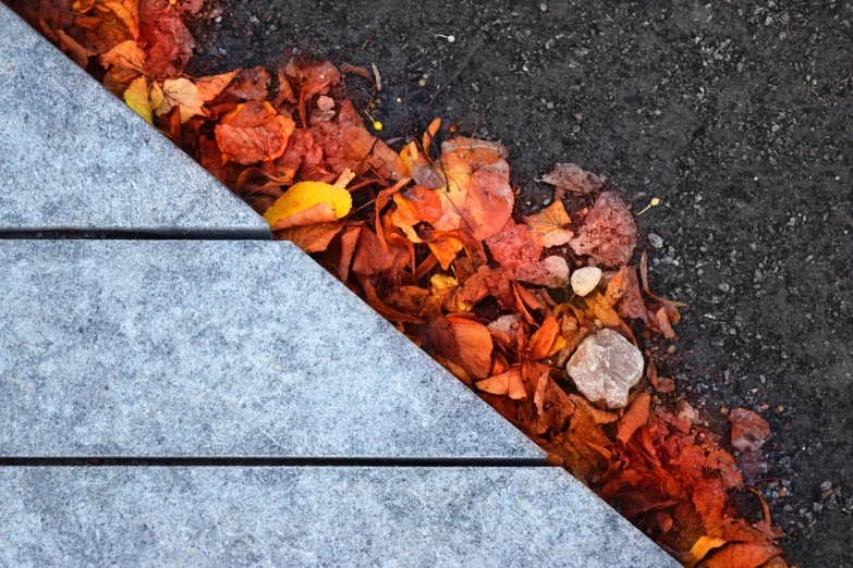 the leaves are laying on the sidewalk next to the curb, by david rubín, unsplash, concrete art, ice and fire, wood texture on top, high color contrast, ultrafine detail ”