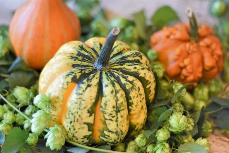 a group of pumpkins sitting on top of a table, yellow and greens, upclose, loosely cropped, gourmet and crafts