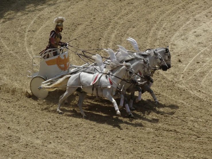 a man riding on the back of a horse drawn carriage, a photo, figuration libre, in a gladiators arena landscape, white horns, in a race competition, watch photo