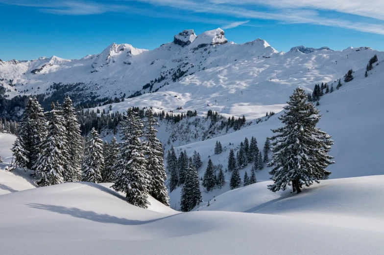 a man riding skis down a snow covered slope, a picture, by Cedric Peyravernay, cypresses and hills, lush vista, empty snow field, wikimedia