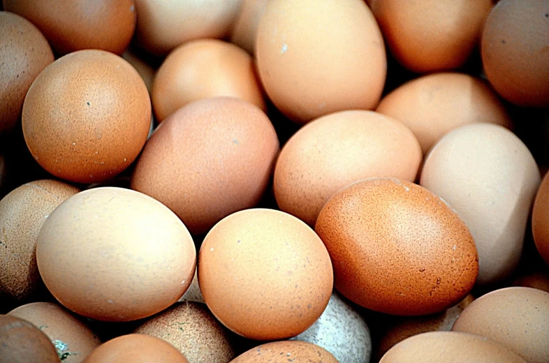 a pile of eggs sitting on top of each other, a photo, by Linda Sutton, istockphoto, tiny details, digital photograph, bottom angle