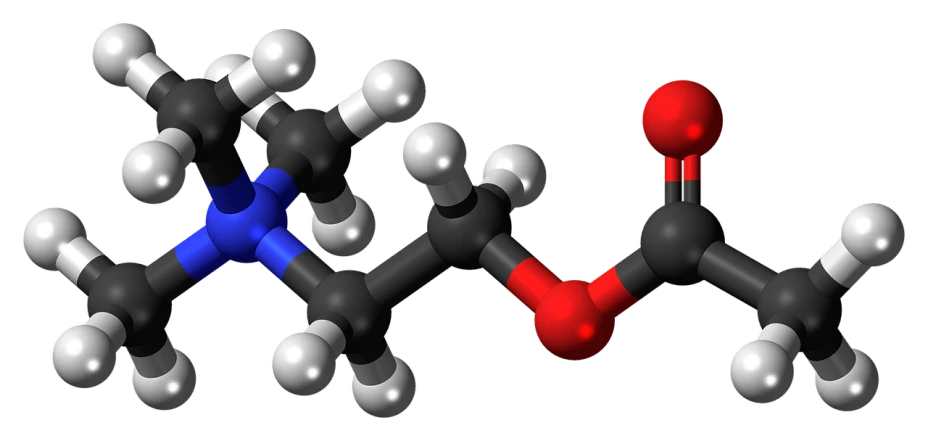 a couple of balls that are next to each other, a digital rendering, by Julian Hatton, pixabay, detailed chemical diagram, colors red white blue and black, hydra, cane