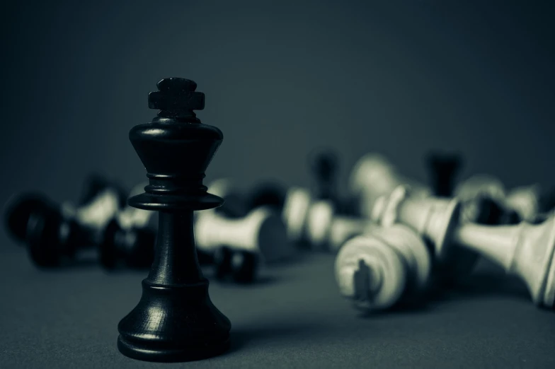a close up of a chess piece on a table, a black and white photo, strong leader, various posed, complex and desaturated, crowned