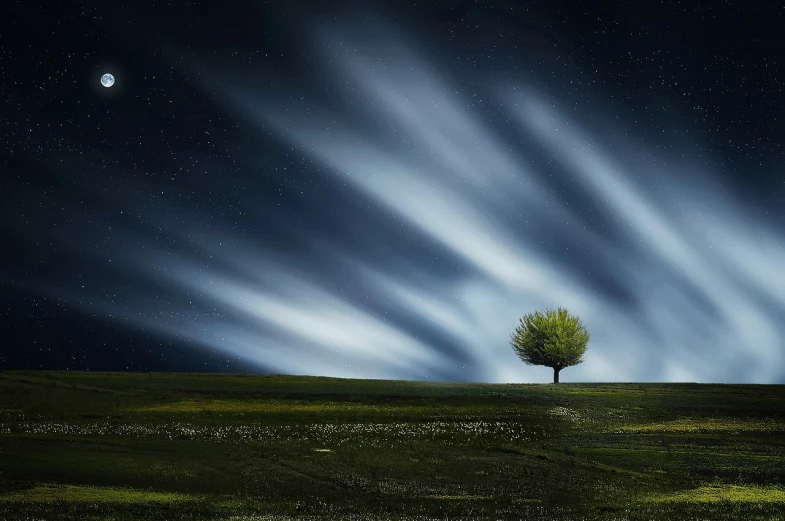 a lone tree sitting on top of a lush green field, a picture, inspired by Gediminas Pranckevicius, pexels contest winner, light and space, cloudy night sky, 8k vertical wallpaper, streaks, night-time