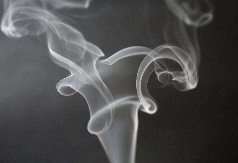 a close up of smoke on a black background, by Magdalene Bärens, bauhaus, casting a protection spell, fine swirling lines, praying with tobacco, trailing white vapor