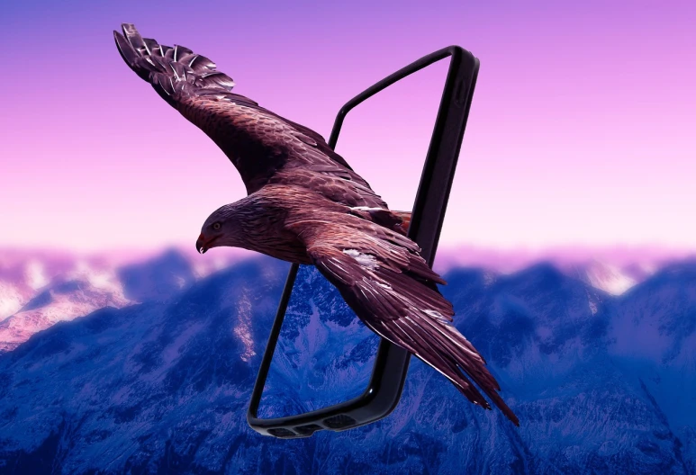a large bird sitting on top of a car mirror, inspired by Aldus Manutius, trending on pexels, realism, holding a very advance phone, mountainous background, hyperdetailed samsung store, background image