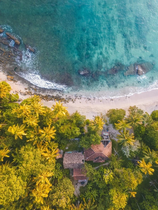 a house sitting on top of a lush green hillside next to the ocean, by Seb McKinnon, shutterstock, palm leaves on the beach, dji top down view, stock photo, sri lanka