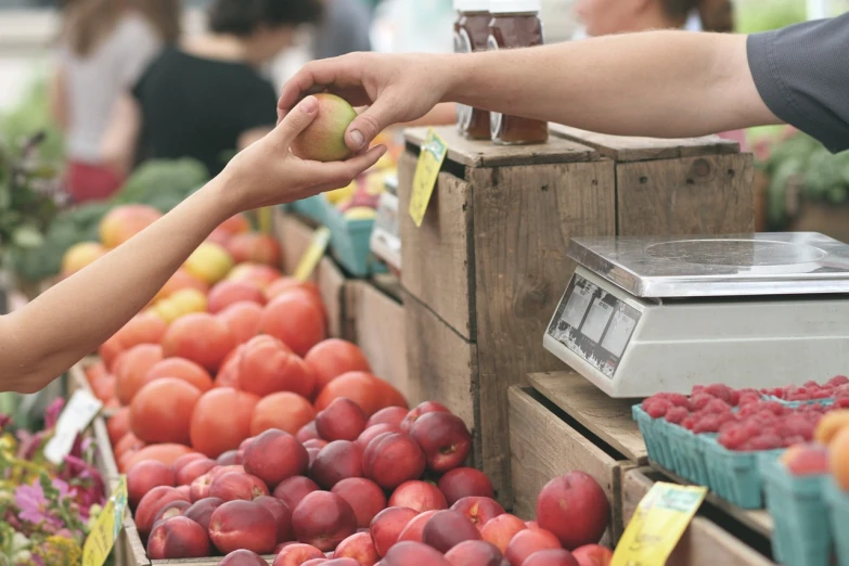 a person handing an apple to a child at a fruit stand, pexels, realism, farmer's market setting, peaches, 'if all can begin again, 💣 💥