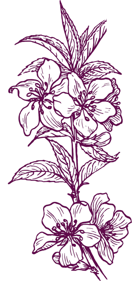 a purple flower on a black background, a stipple, inspired by Katsushika Ōi, deviantart, sōsaku hanga, intertwined full body view, rubrum lillies, patch design, low quality grainy