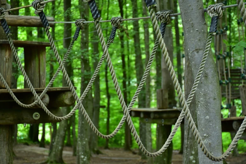 a group of ropes hanging from a tree in a forest, inspired by Jan Konůpek, shutterstock, renaissance, wooden platforms, serpentine maze, belt, maintenance photo