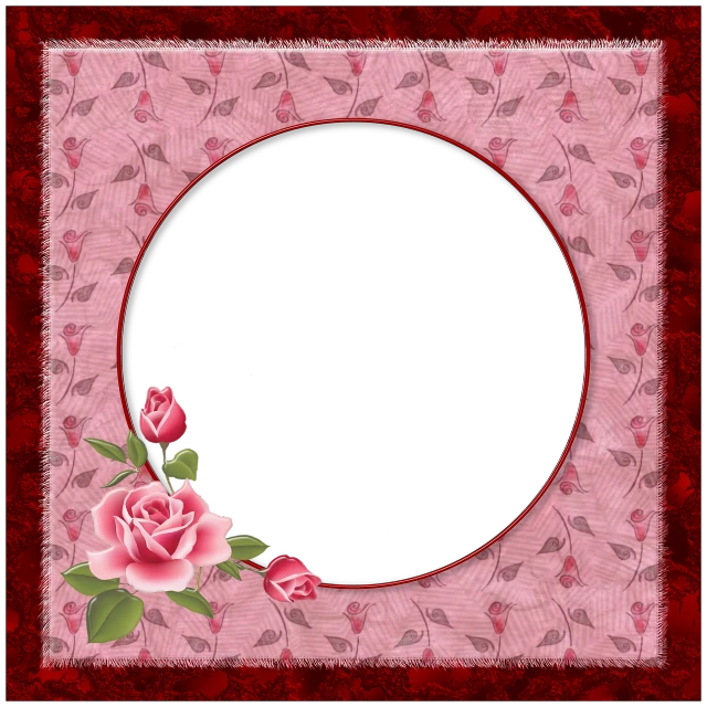 a picture frame with roses on a pink background, inspired by Cindy Wright, zodiac, black and red background, card back template, very round