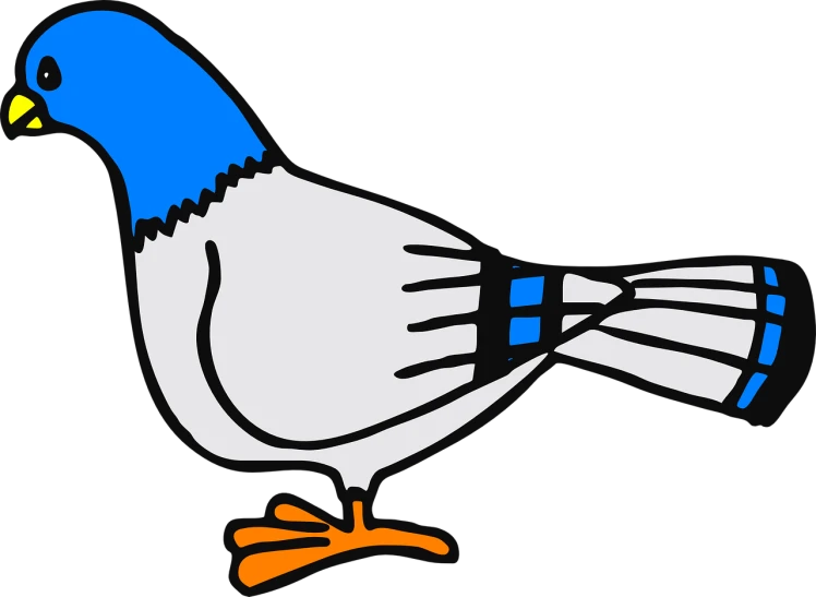 a blue and white bird on a black background, an illustration of, pixabay, finnish cartoon, matisse, trimmed with a white stripe, coloured in blueberra and orange