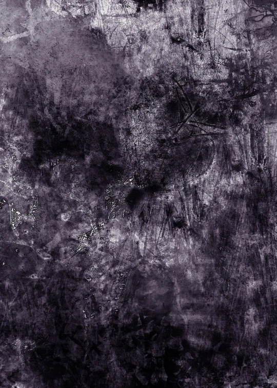 a black and white photo of a forest, abstract expressionism, purple background, dirty concrete wall, scratched photo