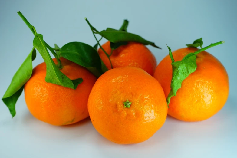 a group of oranges sitting on top of a white table, a still life, by Dietmar Damerau, trending on pixabay, close up portrait photo, stock photo, high detail photo