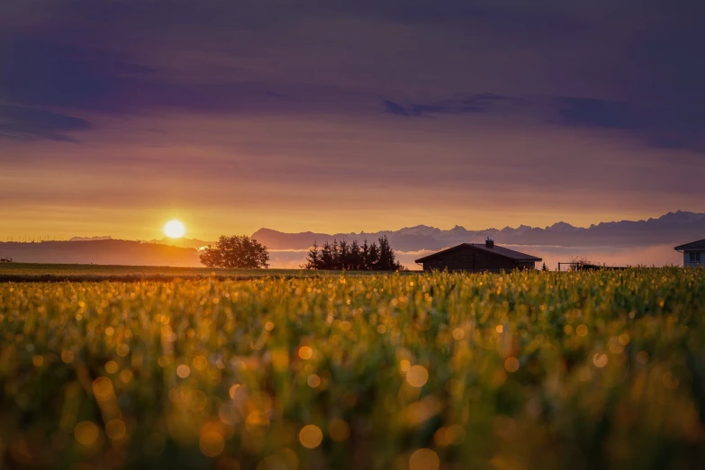 a field of grass with a house in the distance, by Franz Hegi, pixabay, sunrise colors, bubbly scenery, switzerland, photo taken with sony a7r camera