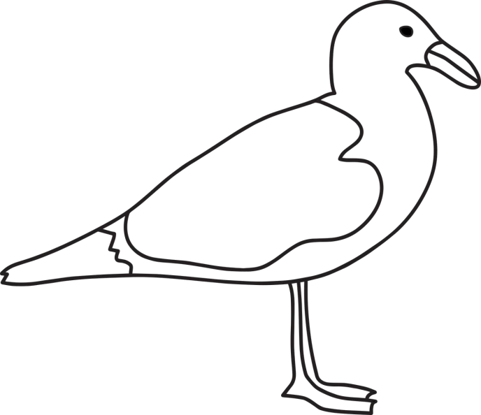 a black and white drawing of a seagull, a drawing, inspired by Aldus Manutius, pixabay, minimalism, standing with a black background, coloring pages, main colour - black, blank