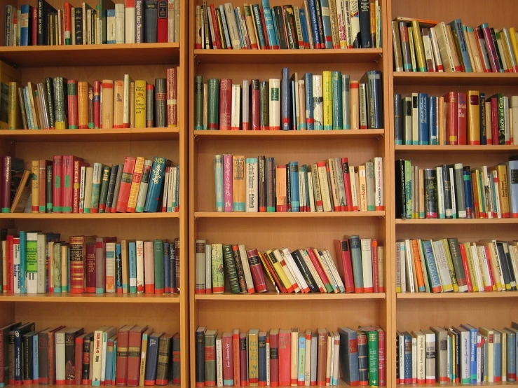 a bookshelf filled with lots of different colored books, a stock photo, by Erwin Bowien, figuration libre, full res, author unknown, vladimir krisetskiy, simple wood shelves