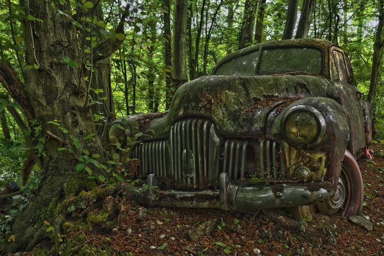 an old car sitting in the middle of a forest, by Ivan Grohar, photorealism. trending on flickr, weathered face, green head, transylvania