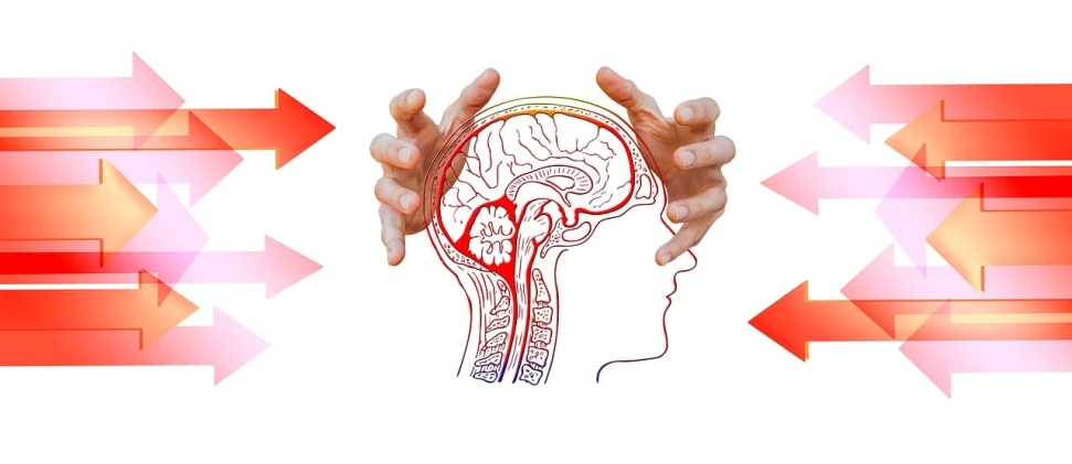 a close up of a person's head with arrows in the background, a picture, by Mirko Rački, trending on pixabay, greeting hand on head, brain in a vat!!, arteries, with a white background