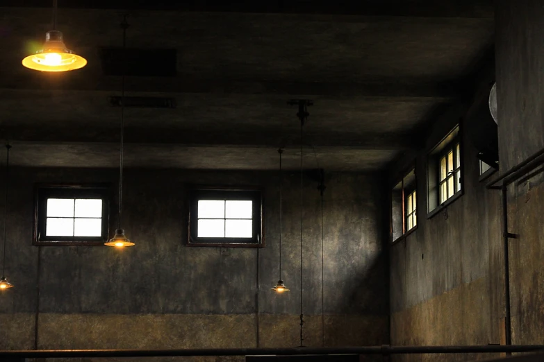 a white toilet sitting in a bathroom next to a window, by Hans Schwarz, unsplash, light and space, dark cables hanging from ceiling, dark and grungy, 1920s studio lighting, interior of a loft