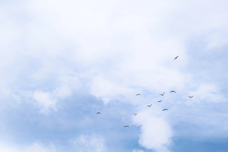 a flock of birds flying through a cloudy sky, a photo, minimalism, colombian, shot with canon 5 d mark ii, on a bright day, sky whales