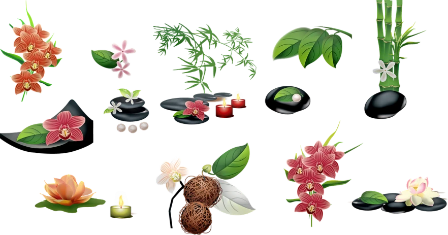 a variety of flowers and stones on a black background, concept art, by Gusukuma Seihō, flickr, paradise garden massage, psd spritesheet, icons, illustrator vector graphics