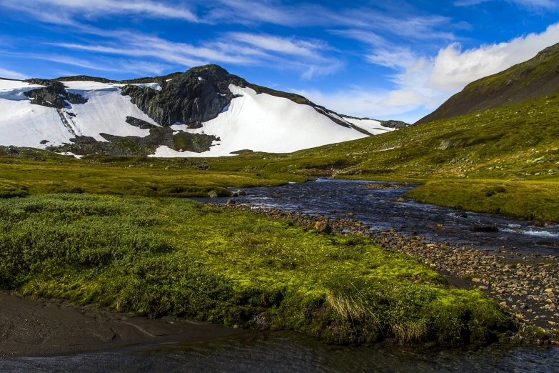 a river running through a lush green valley, by Eero Snellman, flickr, with a snowy mountain and ice, moss landscape, color ( sony a 7 r iv, beautiful summer landscape