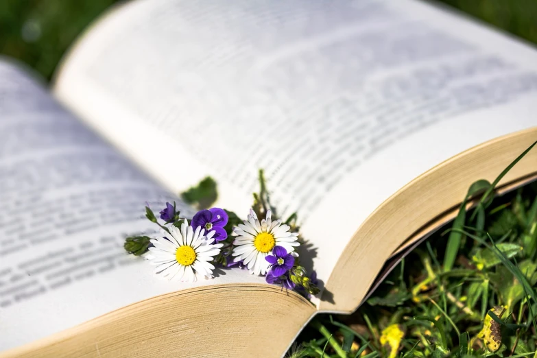 an open book sitting on top of a lush green field, 🌸 🌼 💮, the platonic ideal of flowers, 😃😀😄☺🙃😉😗, pressed flowers