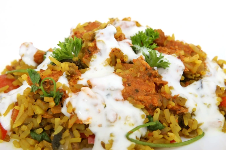 a white plate topped with rice and vegetables, hurufiyya, h 1088, multilayer, indian, medium detail