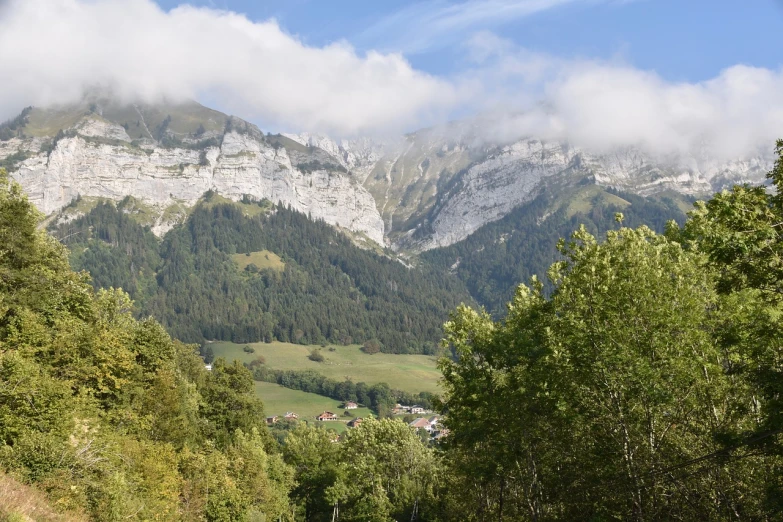 a herd of cattle standing on top of a lush green hillside, a picture, by Cedric Peyravernay, shutterstock, figuration libre, lauterbrunnen valley, detailed trees and cliffs, limestone, summer landscape with mountain