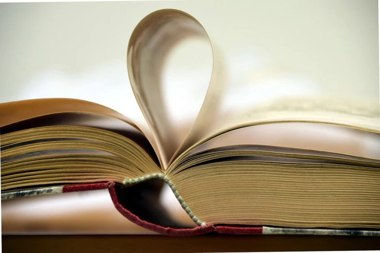 an open book with pages folded into a heart shape, a picture, istockphoto, library books, banner, over-shoulder shot