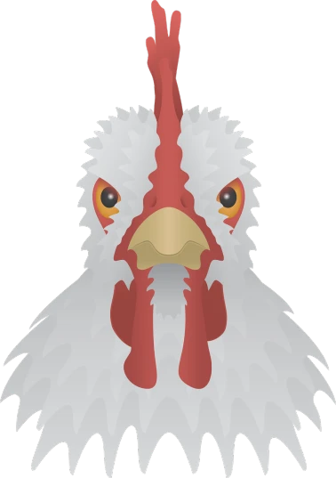 a close up of a chicken's head on a black background, an illustration of, symmetrical face illustration, lineless, red faced, white background