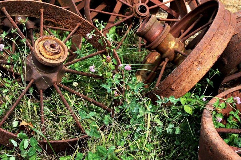 a couple of rusty wheels sitting on top of a lush green field, flickr, assemblage, vine and plants and flowers, clover, with damaged rusty arms, with vestiges of rusty machinery