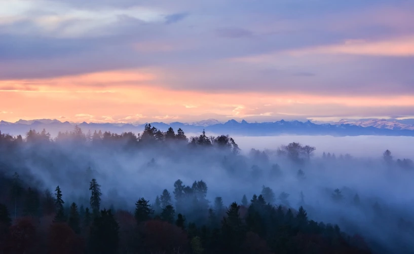 a foggy forest with mountains in the background, a portrait, by Etienne Delessert, flickr, sunrise colors, seattle, floating lands in-clouds, wide long shot