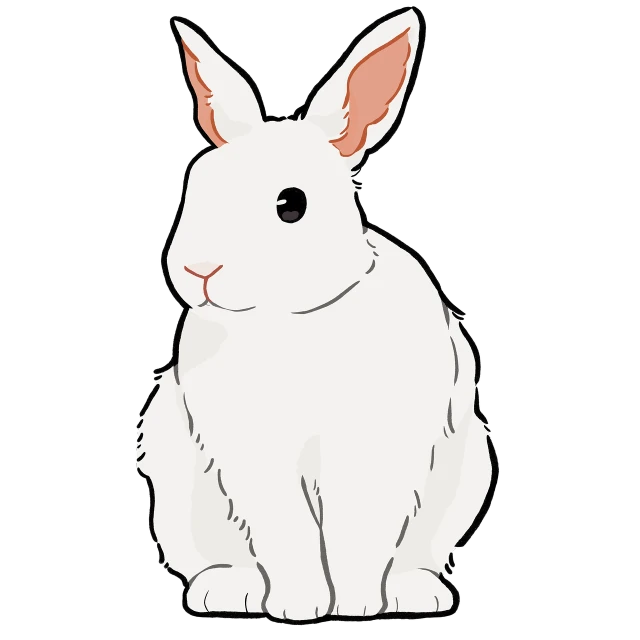 a white rabbit sitting in front of a black background, an illustration of, full color illustration, white background and fill, full res, extremely plump