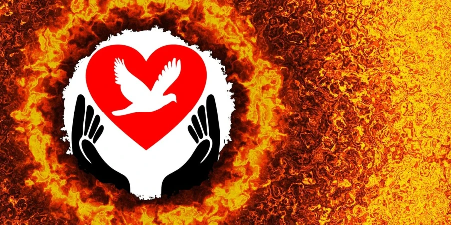 two hands holding a red heart surrounded by flames, trending on pixabay, auto-destructive art, white dove, banner, ivan bolivian, group photo