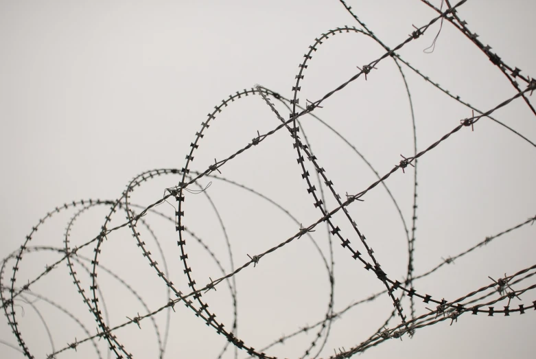 a close up of a barbed wire fence, a stock photo, shutterstock, graffiti, on grey background, very accurate photo, everything enclosed in a circle, modern high sharpness photo