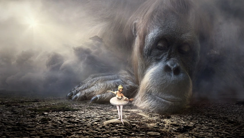 a girl is standing in front of an orangutan, a matte painting, inspired by Igor Morski, pixabay contest winner, fantastic realism, samuel l. jackson as a ballerina, monkeys, staring, beth cavener