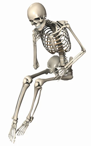 a skeleton that is sitting in the air, pixabay, sitting pose, high res render, hunched shoulders, eye - level view