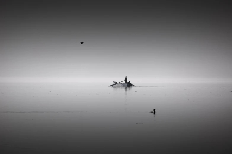 a person in a boat on a body of water, a black and white photo, by Ibrahim Kodra, minimalism, birds in the distance, andrey gordeev, trio, black fog