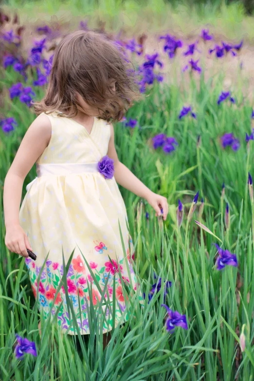 a little girl standing in a field of purple flowers, focus on iris, outdoor photo