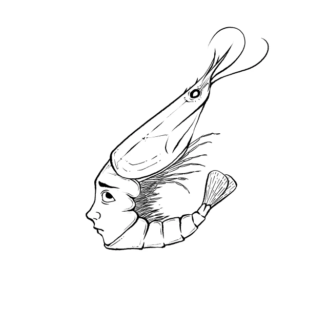 a drawing of a woman with a fish on her head, an ink drawing, surrealism, shrimp, mascot illustration, 2d side view, concept character