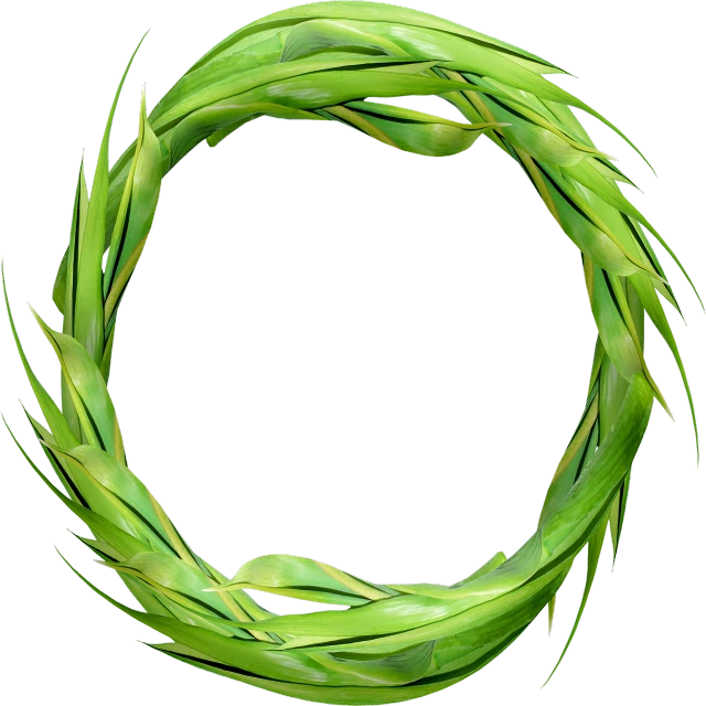 a wreath of green grass on a black background, inspired by Andy Goldsworthy, hurufiyya, high quality product photo, eucalyptus, corn, biological photo