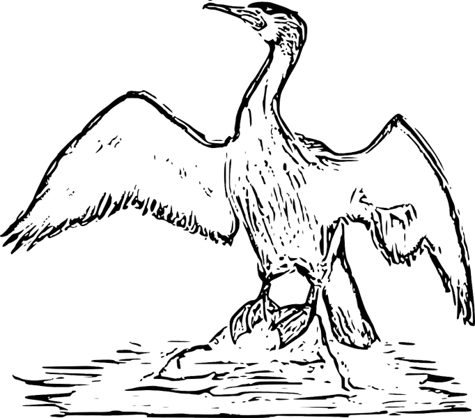 a black and white drawing of a bird on a rock, an illustration of, inspired by Aldus Manutius, pixabay, scary sea monster, vector image, bathing inside the tar pit, illustration black outlining
