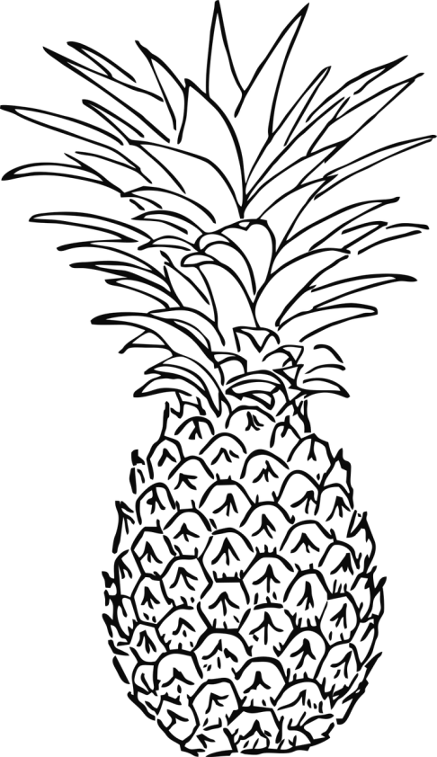 a pineapple on a black background, lineart, by Andrei Kolkoutine, deviantart, full screen, gustave dore\' background, entirely black full page black, bottom - view